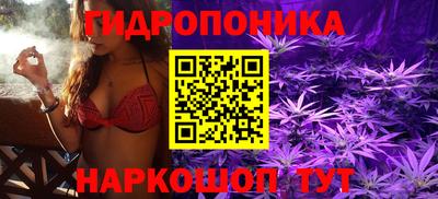a pvp Нальчик