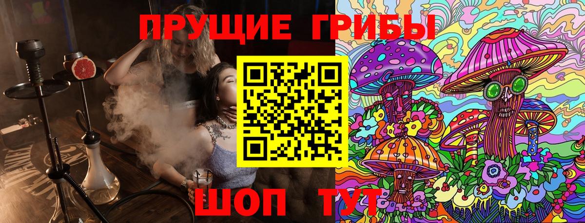 Шадринск  Псилоцибиновые грибы Cubensis  Вход с VPN 