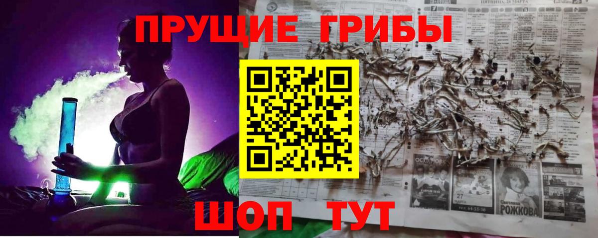 Псилоцибиновые грибы Cubensis Шадринск